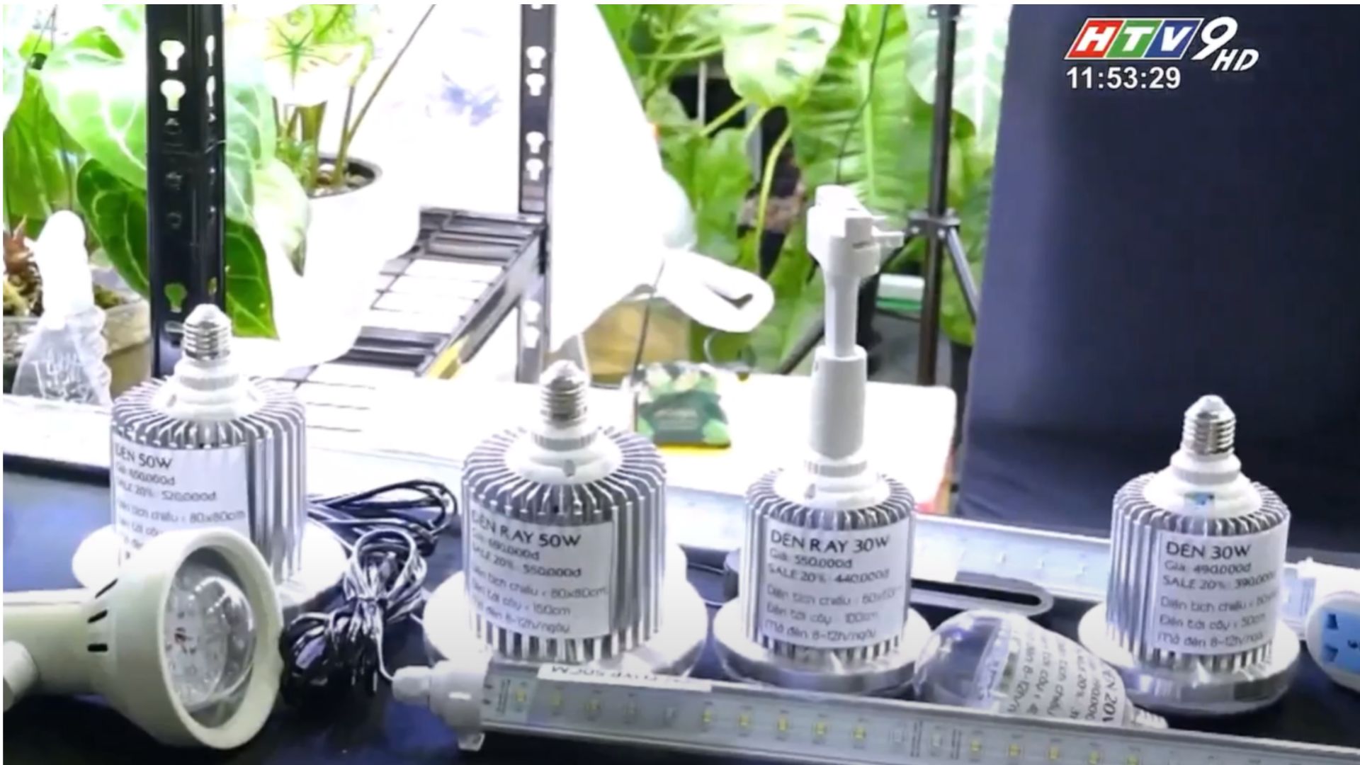 C&aacute;c sản phẩm đ&egrave;n quang hợp LGL c&oacute; mặt tại M&ecirc; L&aacute; 2024